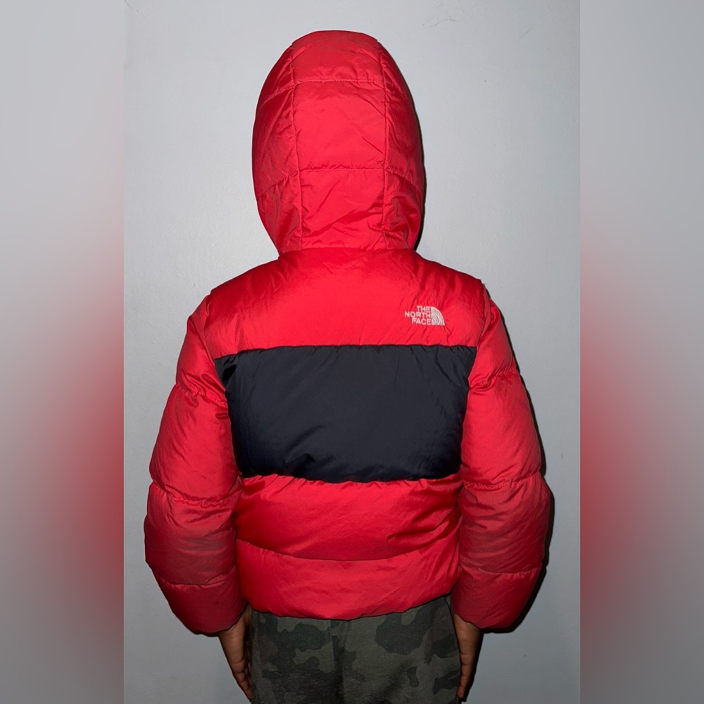 The North Face Moondoggy Jacket